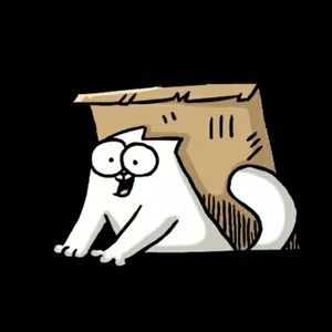 EVERYTHING IS BUY ONE GET ONE FREE